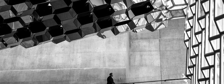 Black Light Switches